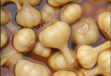 算了， 這樣的糖蒜不吃也罷！|青海-測客