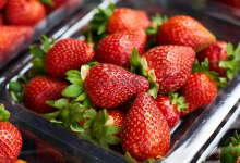 草莓檢出農藥殘留超標，農戶為了搶上市完全不考慮用藥安全間隔期?。颇?測客