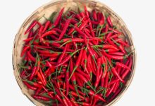 多批次辣椒中檢出鎘超標(biāo)，蔬菜重金屬超標(biāo)問(wèn)題源頭在哪？| 貴州-測(cè)客